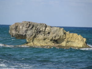 Iguana Rock