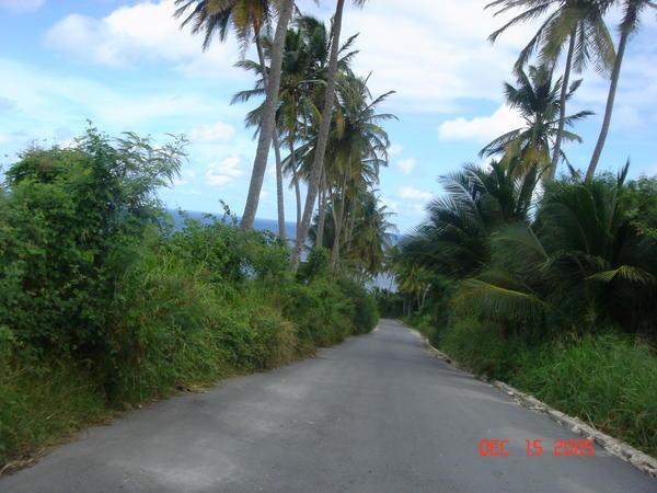 The beautiful road