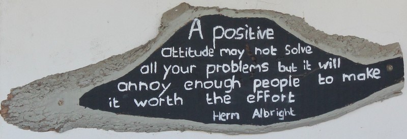"A Positive Attitude May Not Solve All Your Problems But It Will Annoy Enough People To Be Worth The Effort"