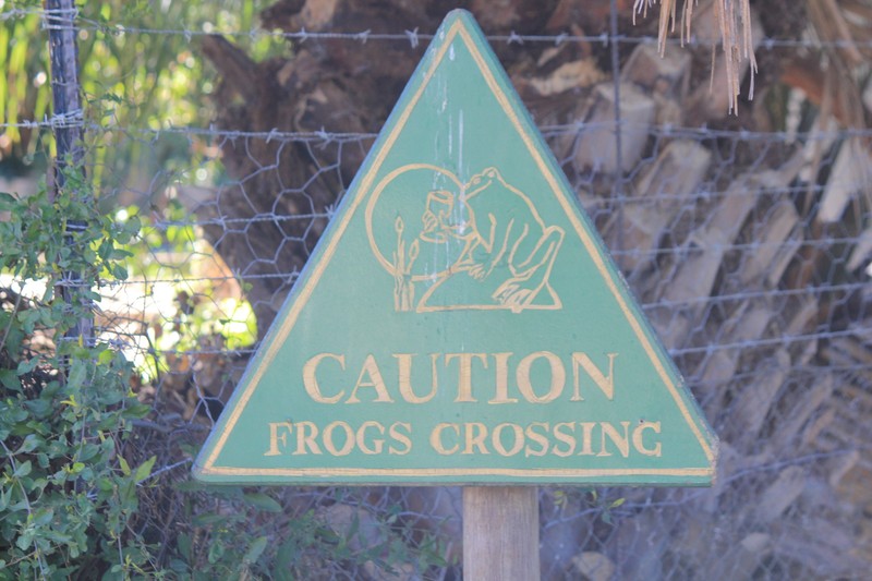 "Caution Frogs Crossing"