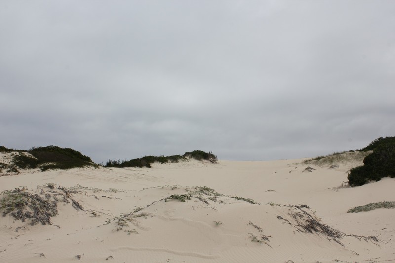 Arniston Sand Dunes