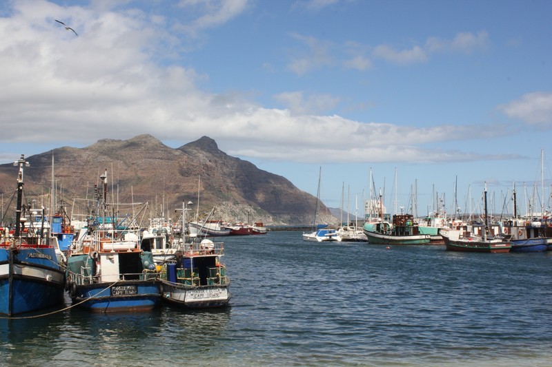 Hout Bay Harbour