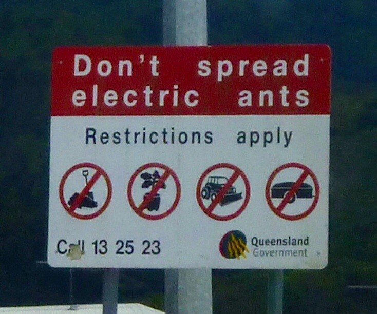 "Don't Spread Electric Ants"