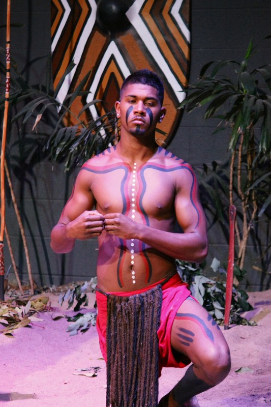 Aboriginal Dancer