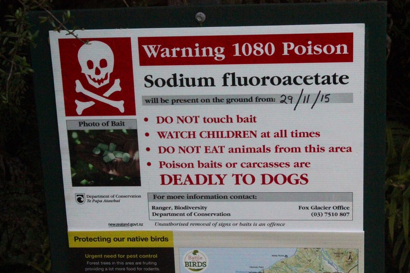 Poison Notice on Cattle Track near Lake Paringa
