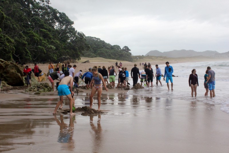 Crowds Digging on Hot Water Beach