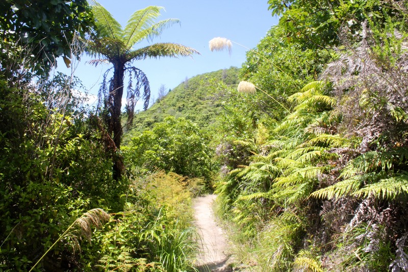 The Tarawera Trail