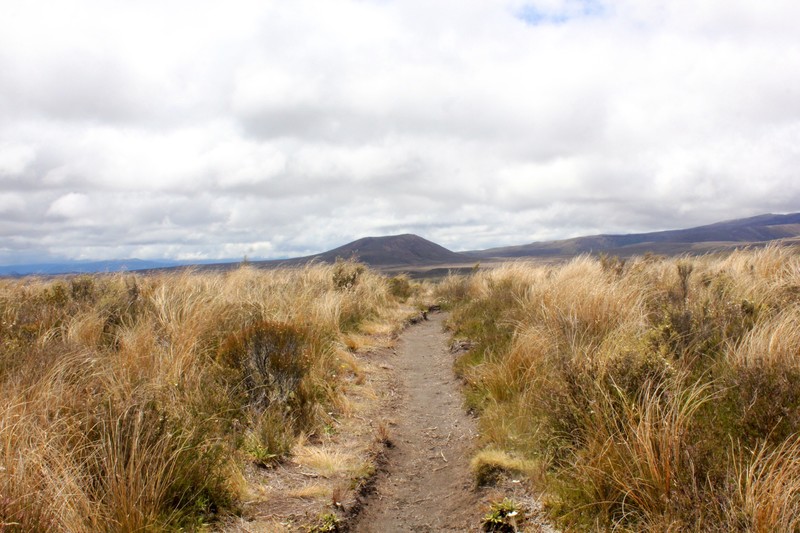 The Tongariro Northern Circuit