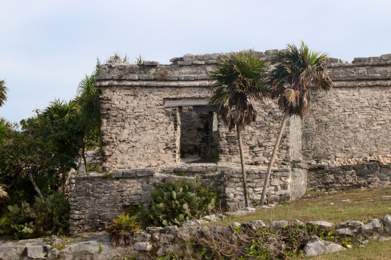 House of the Cenote (Tulum)