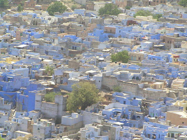 Blue city (Jodhpur)