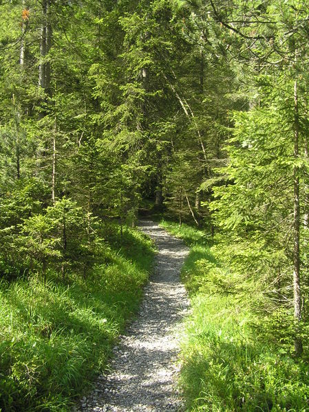 Biberg walking track