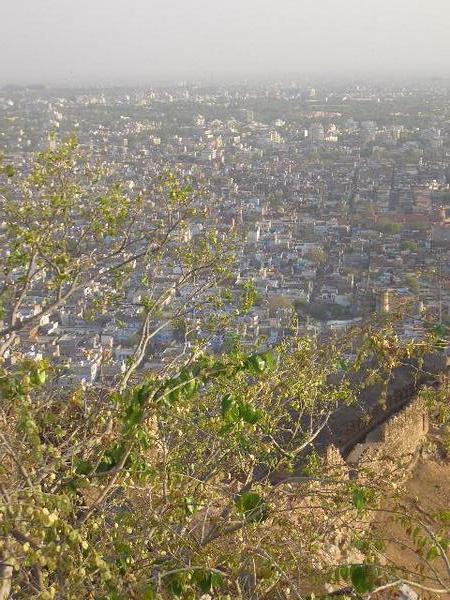 Jaipur from Nahagarh 2
