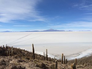 Overlooking the salar from the top of the island