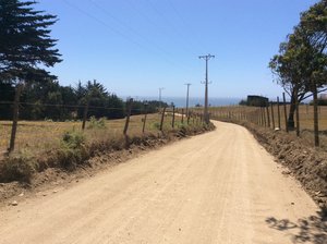 The road leading to Punta de Lobos