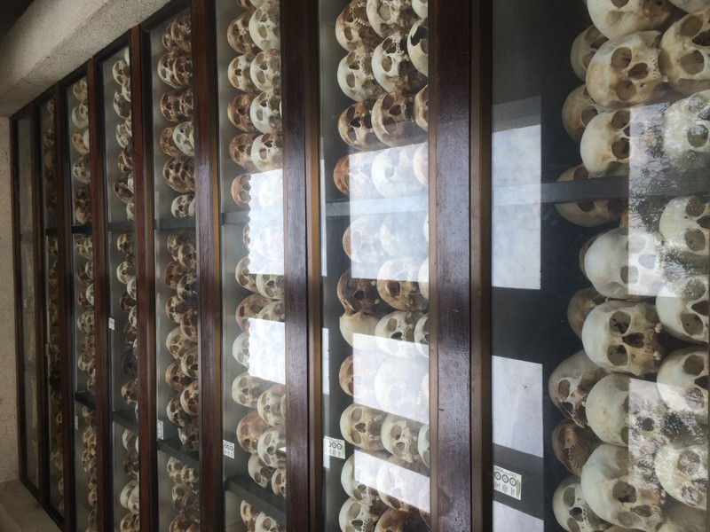 The skulls of the victims dig up on the killing fields