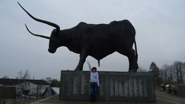 big bull