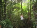 Tarzan Tom swinging through the jungle
