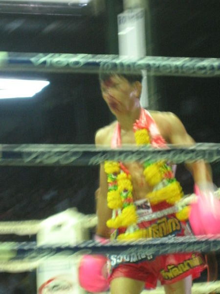 Mai Thai boxing
