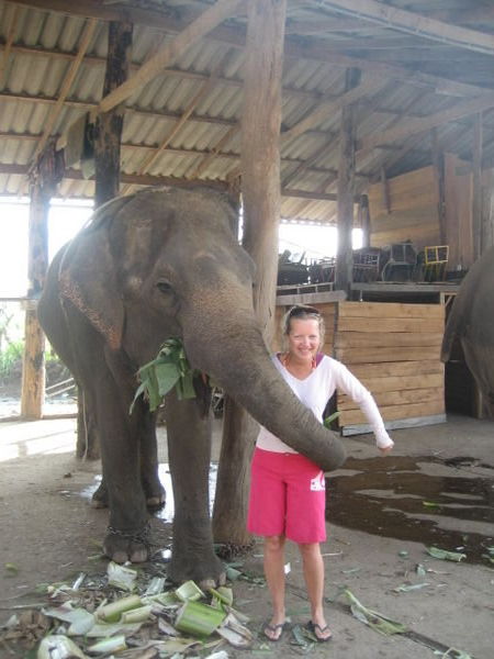 Gemma being cuddled by elephant