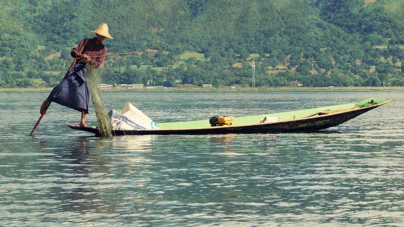 Traditional fishing on Inle Lake