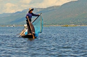 Traditional fishing on Inle Lake