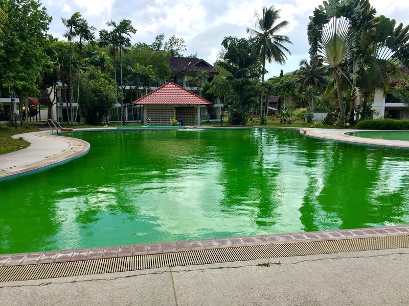 Is the pool supposed to be this colour?
