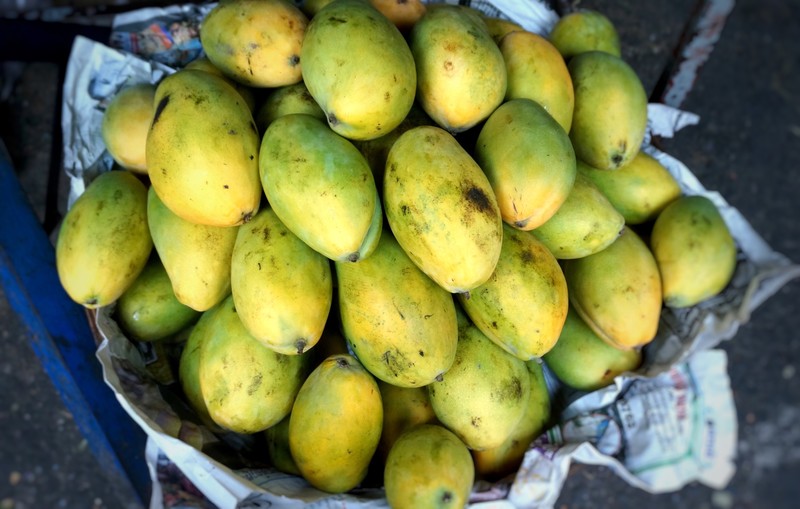 Lots of great fresh fruit here, like these green mango 
