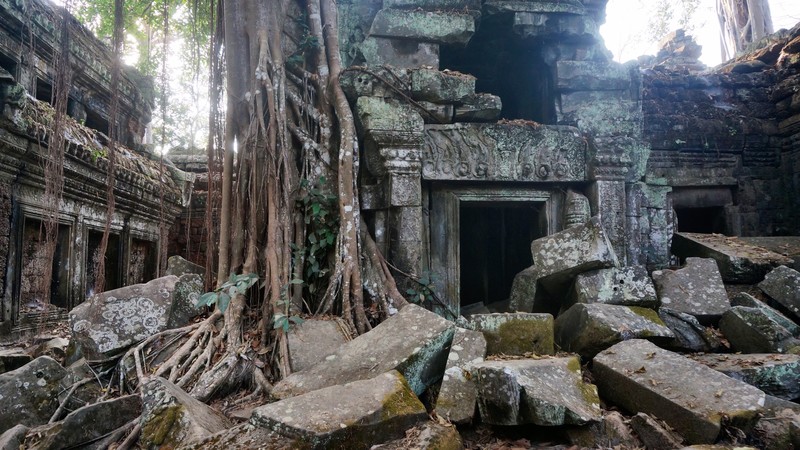More of Ta Prohm's gorgeous scenery