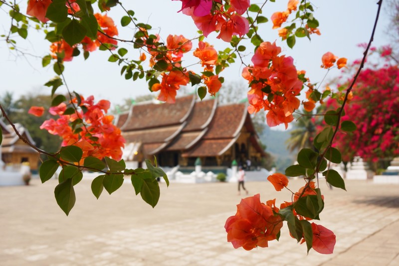 Monastery in Luang Prabang