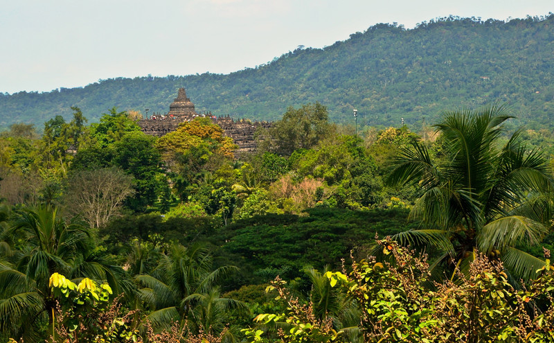 Borobudur at its best from a distance