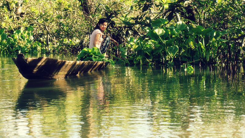 Plucking river weed in the backwaters of the Mekong delta