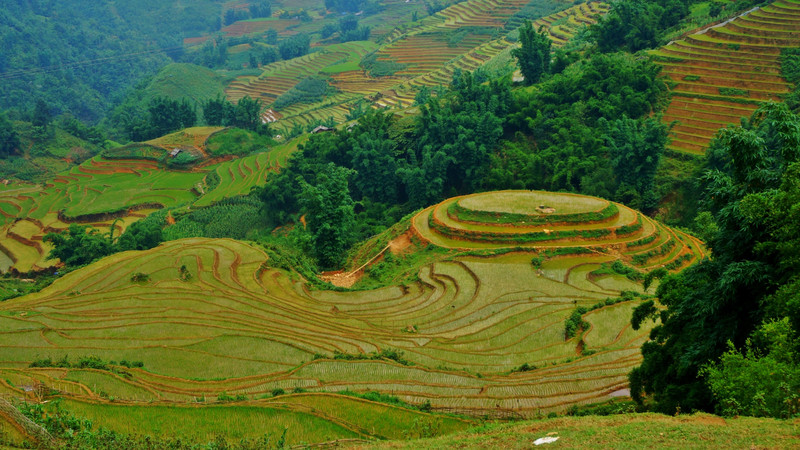 Looking down the Sapa valley