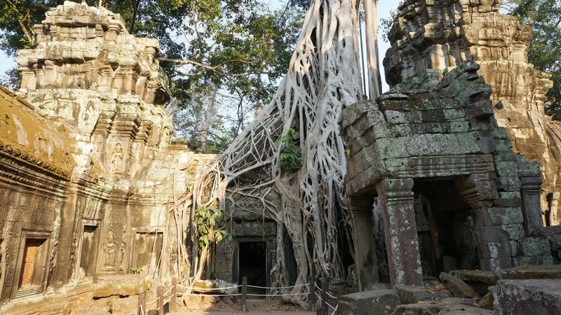 Atmospheric Angkor