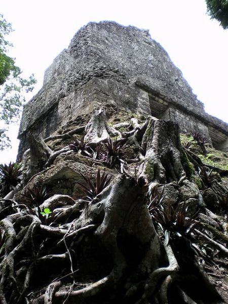 Stumpy Ruins - Tikal