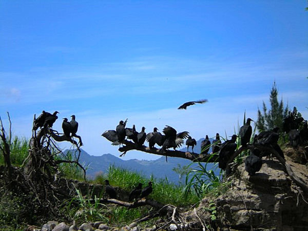 Lake Atitlan - Culture Vultures