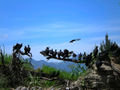 Lake Atitlan - Culture Vultures