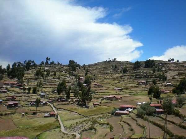 Tequina's Terraced Countryside