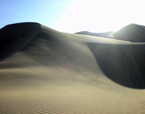 dune shine
