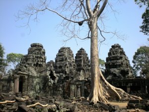 Angkor Somewhere: 2 Many Temples