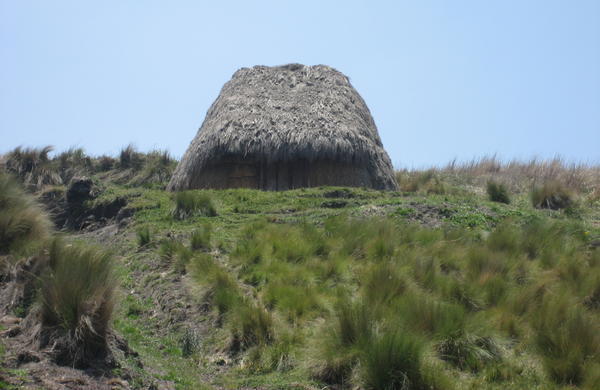 House Made of Straw