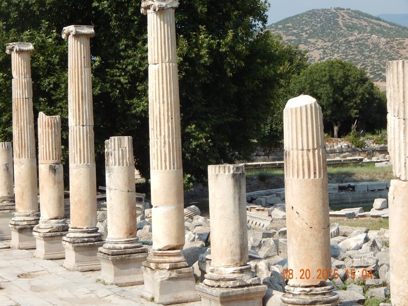 Columns (Aphrodaesis)