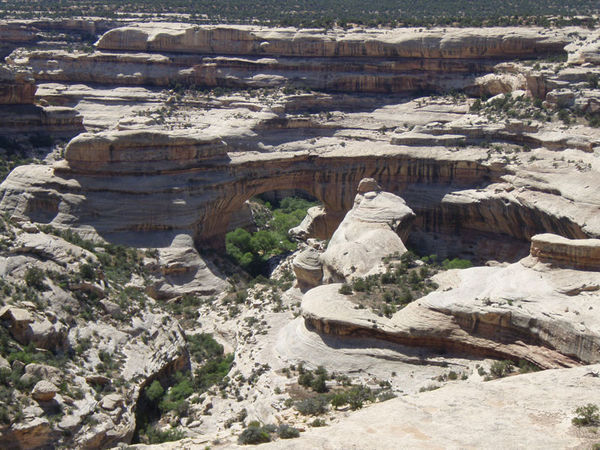 Natural Bridges National Park