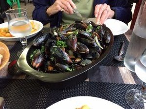 A Lot of Mussels!