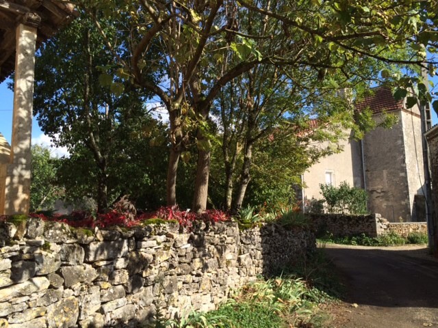 one of the many stone walls in our village