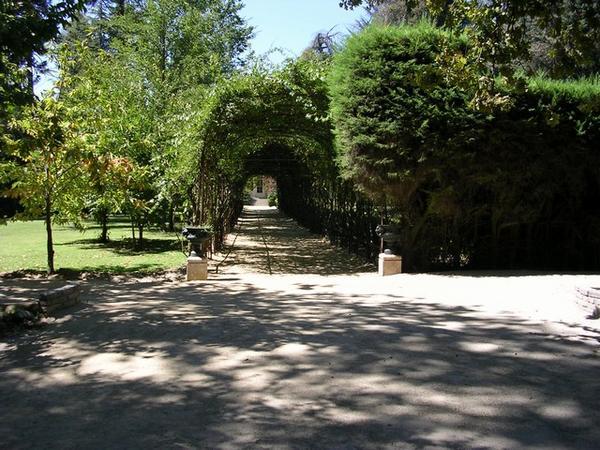 Shaded entrance into the winery