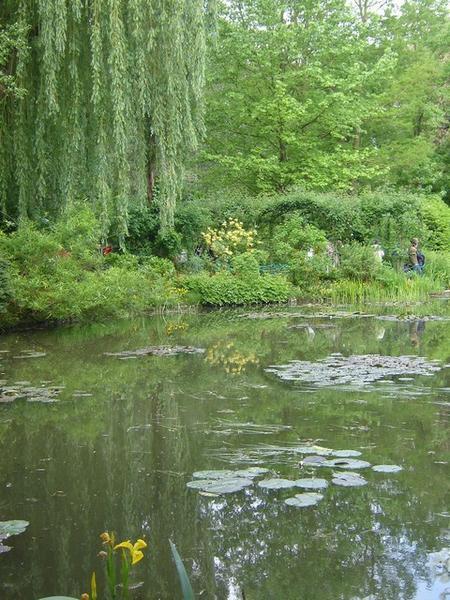 L'étang aux nymphéas