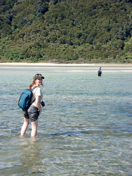 Abel Tasman Low Tide Crossing