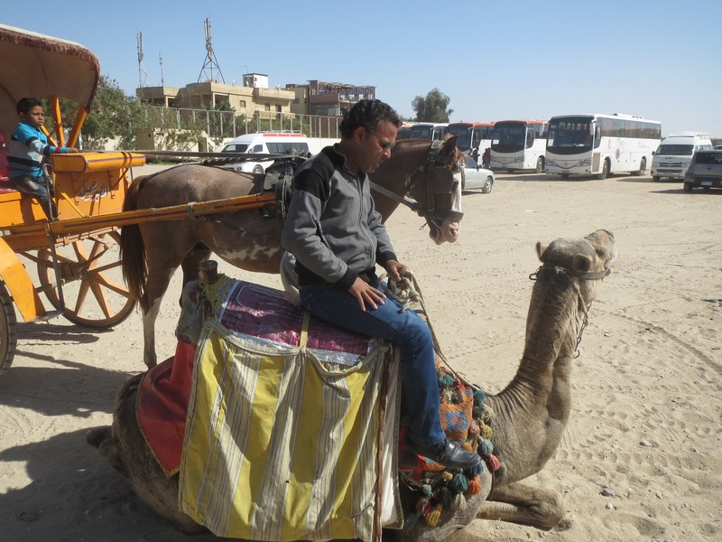 the camels name was lucky...the driver was probably mohammed lol