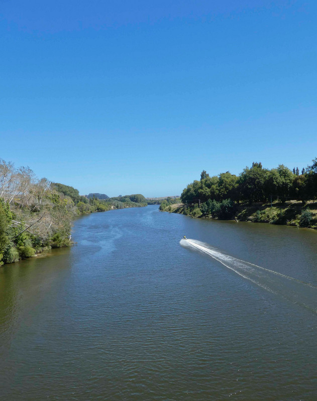 Whanganui River from the bridge