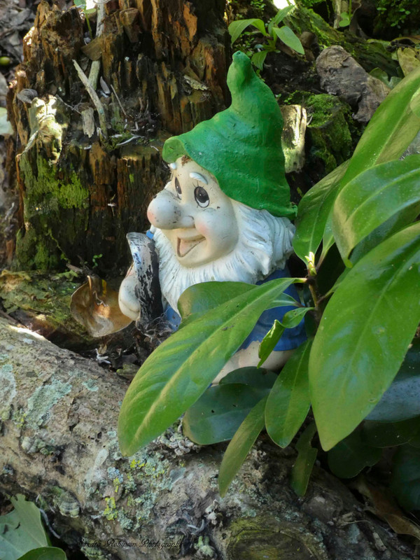A gnome, watching the visitors go by